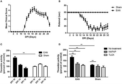 Blocking Thrombin Significantly Ameliorates Experimental Autoimmune Neuritis